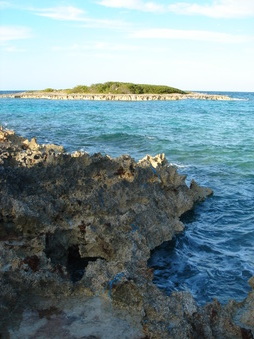 Enlarge photo 47