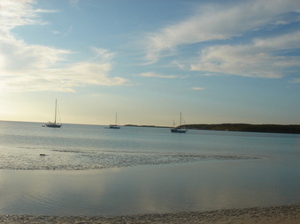 Enlarge photo 49