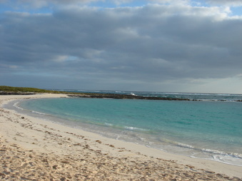 Enlarge photo 94