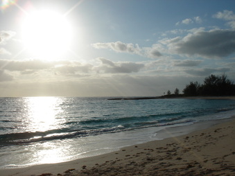 Enlarge photo 95