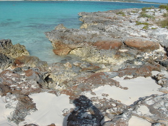 Enlarge photo 96