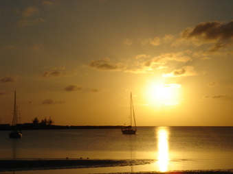 Enlarge photo 109