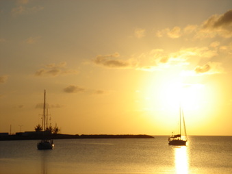 Enlarge photo 110