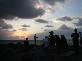 Enlarge photo 76