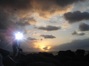 Enlarge photo 80