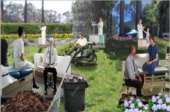 Enlarge photo 39