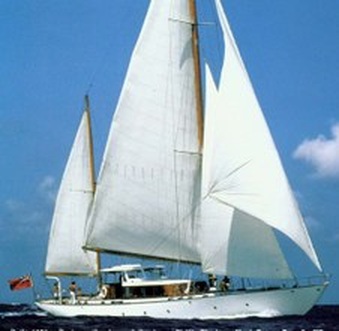 Enlarge photo 39