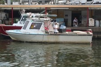 Enlarge photo 16