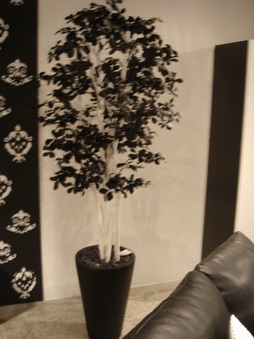 Enlarge photo 12