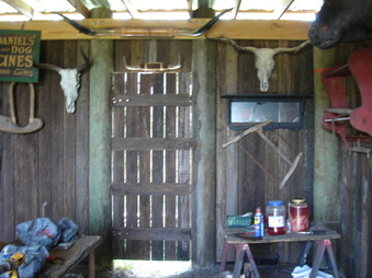 Enlarge photo 74