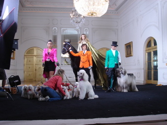 Enlarge photo 128