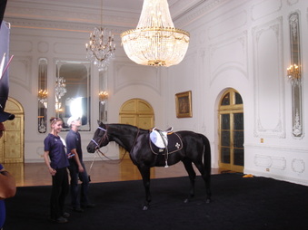 Enlarge photo 131