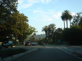 Enlarge photo 82