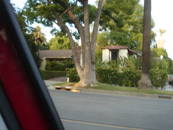 Enlarge photo 83