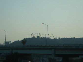 Enlarge photo 86