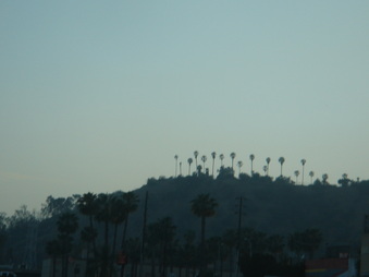 Enlarge photo 87
