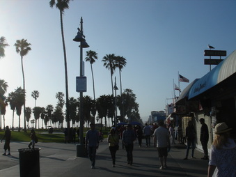 Enlarge photo 95