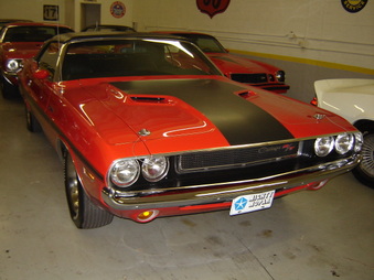 Enlarge photo 73