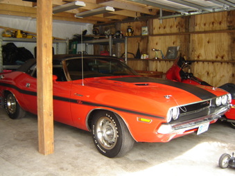 Enlarge photo 71