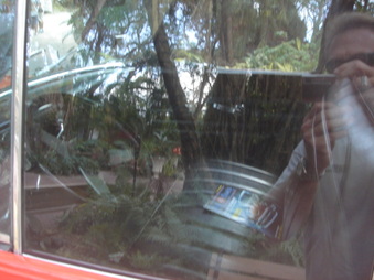 Enlarge photo 152