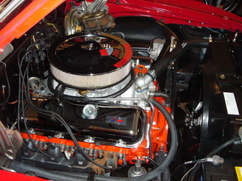 Enlarge photo 96