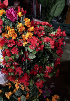 Enlarge photo 46