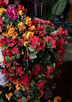 Enlarge photo 48