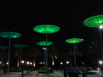Enlarge photo 36