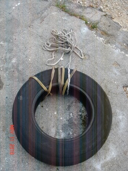 Enlarge photo 42