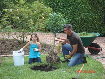Enlarge photo 65