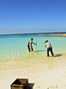 Enlarge photo 46