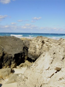 Enlarge photo 115