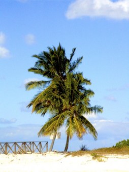 Enlarge photo 105