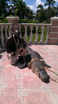 Enlarge photo 13
