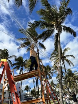 Enlarge photo 15
