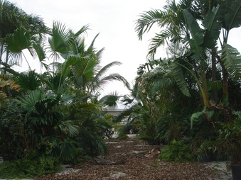 Enlarge photo 55
