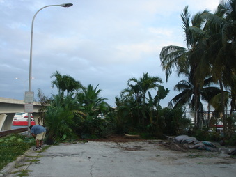 Enlarge photo 59