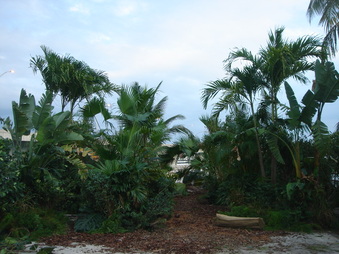 Enlarge photo 60