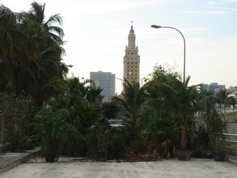 Enlarge photo 66