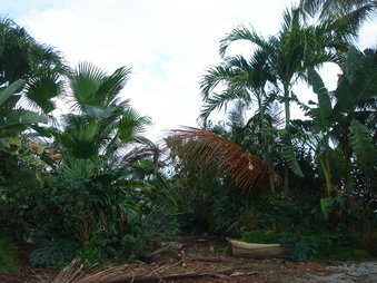 Enlarge photo 70
