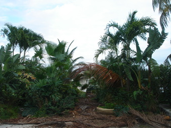 Enlarge photo 71