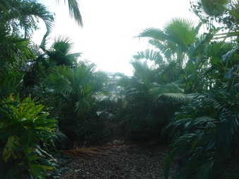 Enlarge photo 78