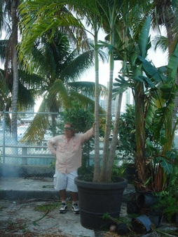 Enlarge photo 80
