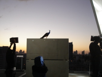Enlarge photo 27