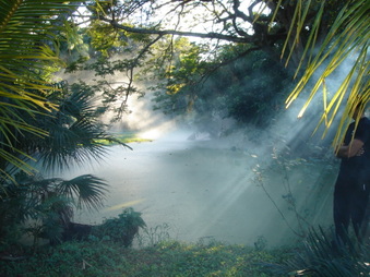 Enlarge photo 53