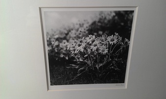 Enlarge photo 109