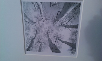 Enlarge photo 110
