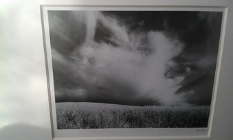 Enlarge photo 112