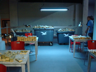 Enlarge photo 27