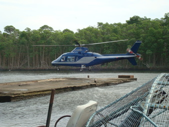 Enlarge photo 40
